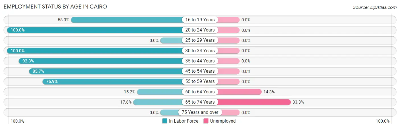 Employment Status by Age in Cairo