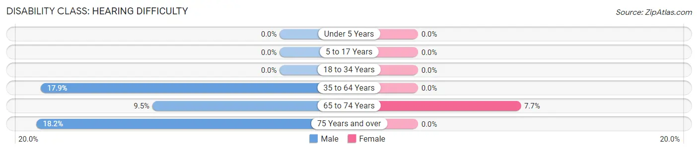 Disability in Cairo: <span>Hearing Difficulty</span>