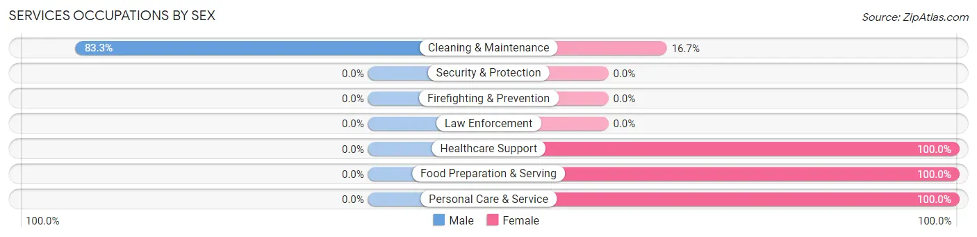 Services Occupations by Sex in Cairo