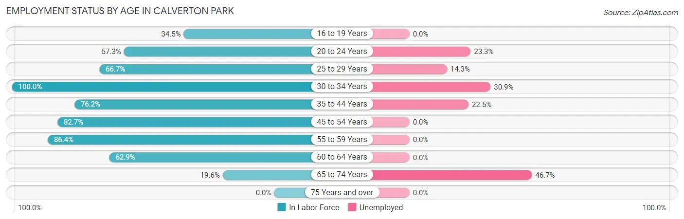 Employment Status by Age in Calverton Park