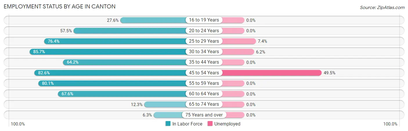 Employment Status by Age in Canton