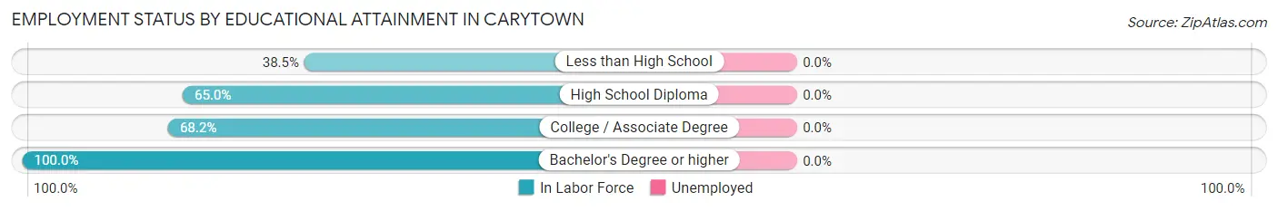Employment Status by Educational Attainment in Carytown