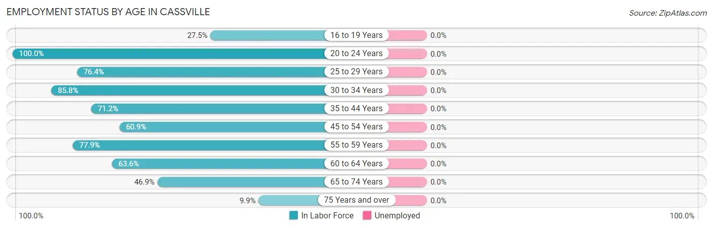 Employment Status by Age in Cassville