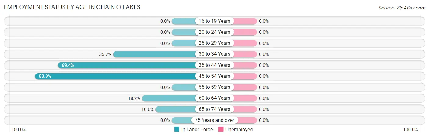 Employment Status by Age in Chain O Lakes