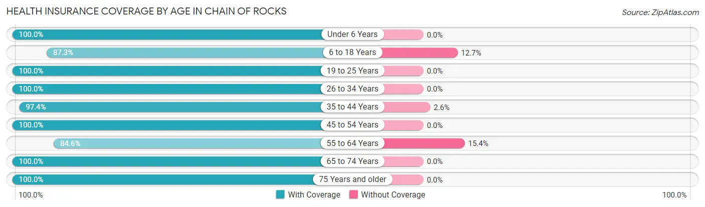 Health Insurance Coverage by Age in Chain of Rocks