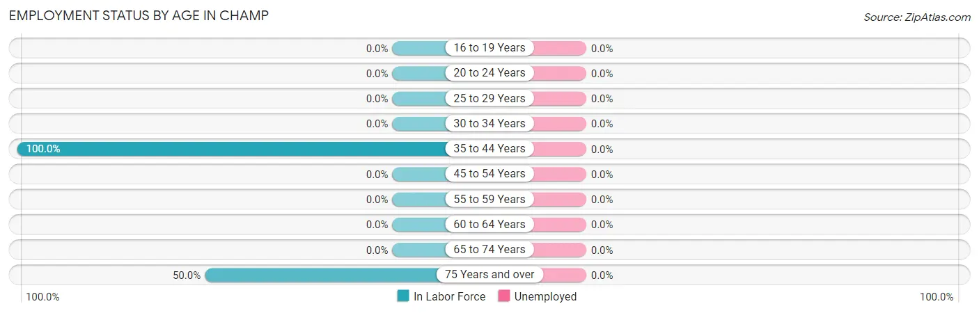 Employment Status by Age in Champ