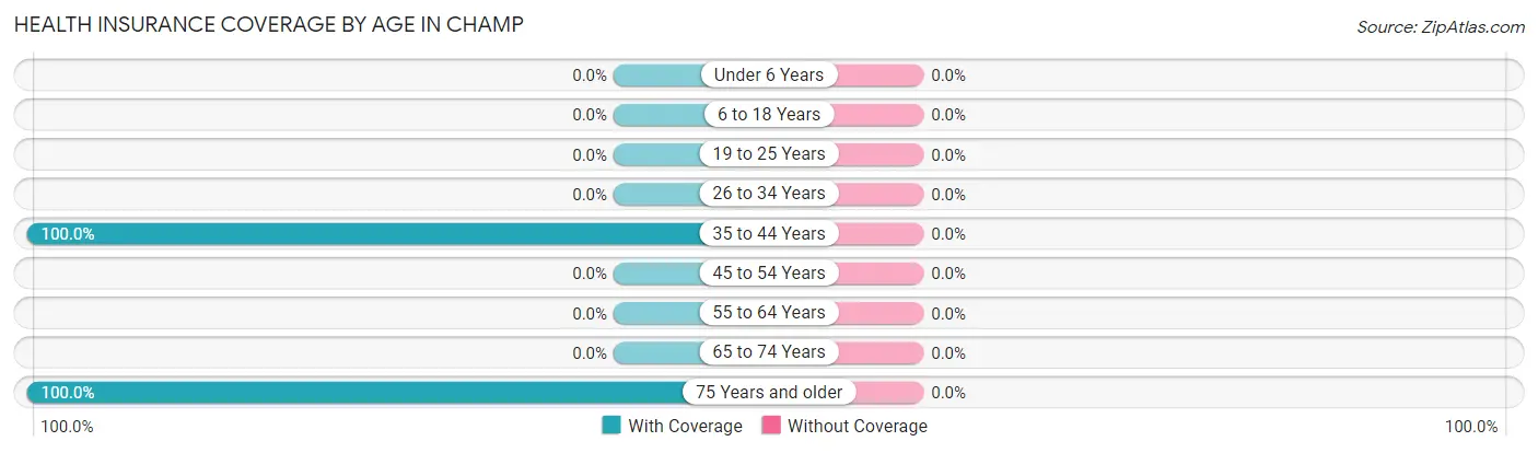 Health Insurance Coverage by Age in Champ
