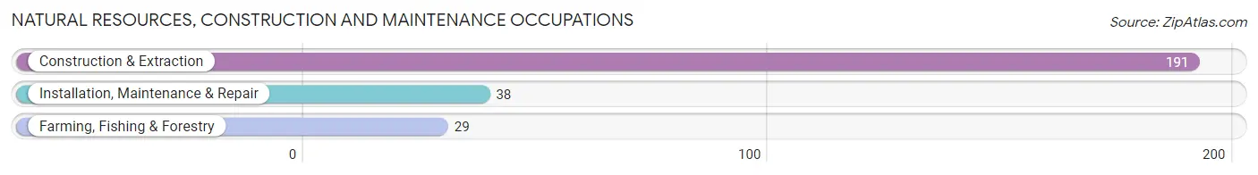 Natural Resources, Construction and Maintenance Occupations in Clinton