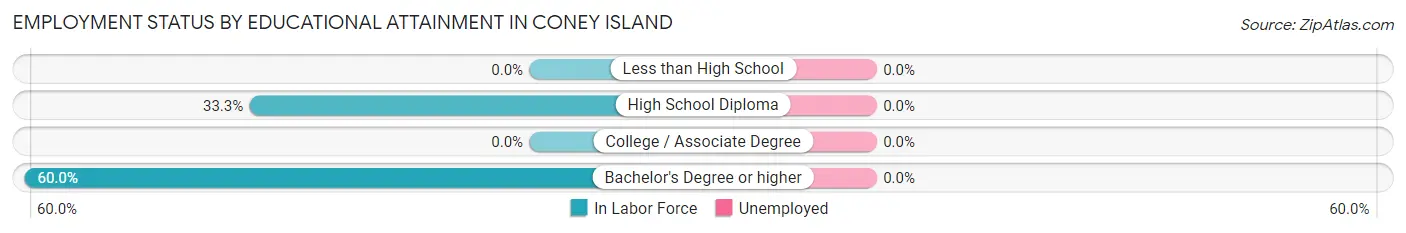 Employment Status by Educational Attainment in Coney Island