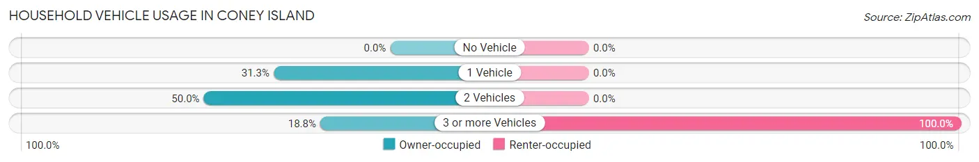 Household Vehicle Usage in Coney Island