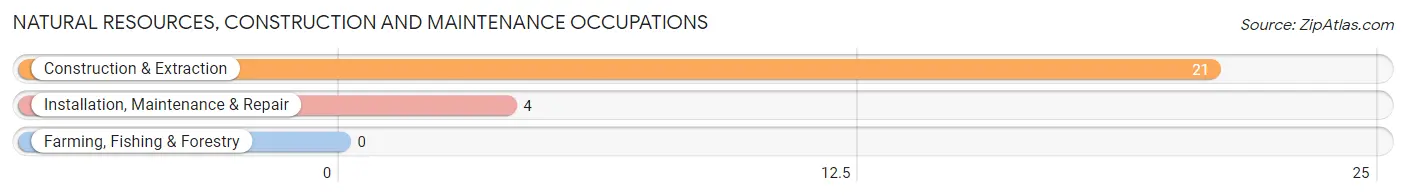 Natural Resources, Construction and Maintenance Occupations in Cool Valley