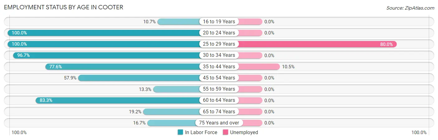 Employment Status by Age in Cooter