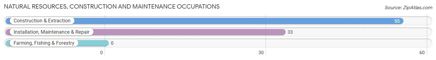 Natural Resources, Construction and Maintenance Occupations in Country Club