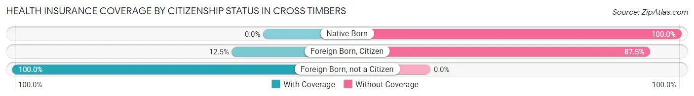 Health Insurance Coverage by Citizenship Status in Cross Timbers