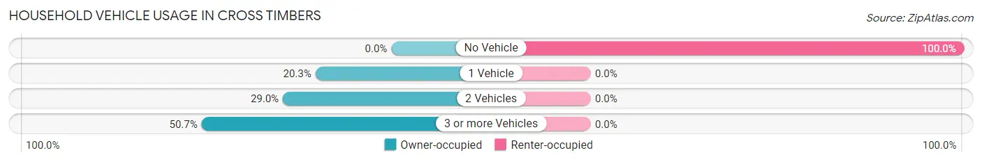 Household Vehicle Usage in Cross Timbers
