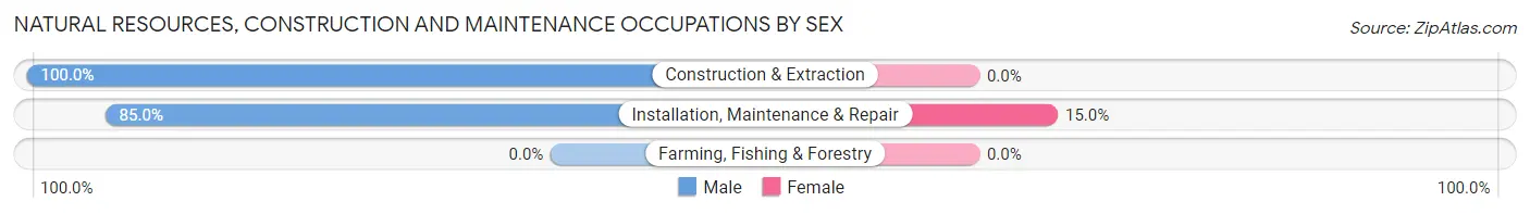 Natural Resources, Construction and Maintenance Occupations by Sex in Cuba