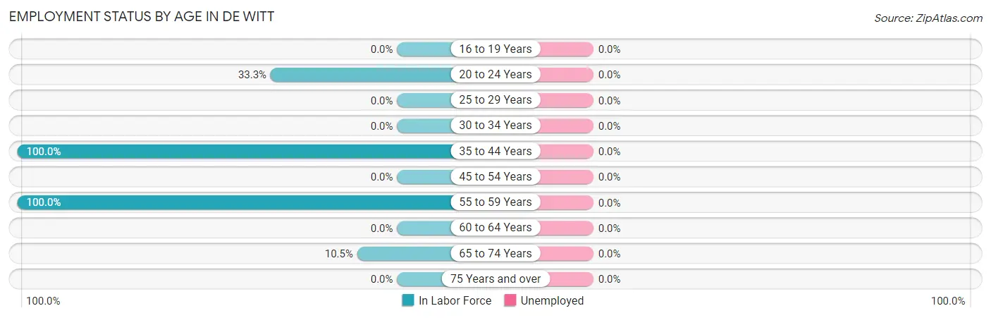 Employment Status by Age in De Witt