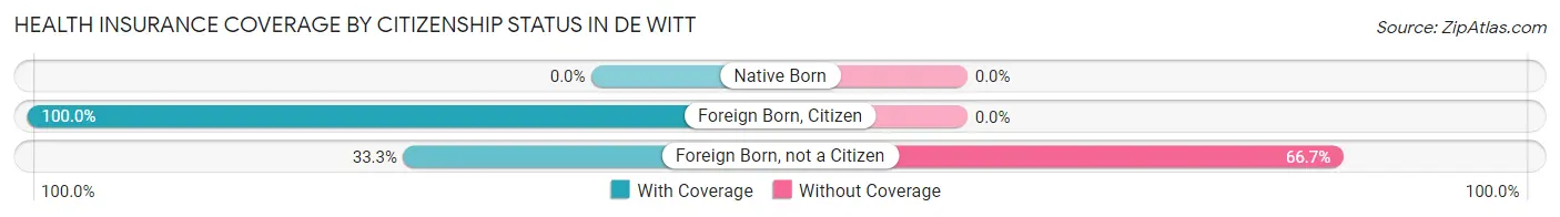 Health Insurance Coverage by Citizenship Status in De Witt