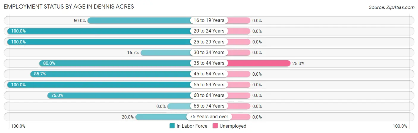 Employment Status by Age in Dennis Acres