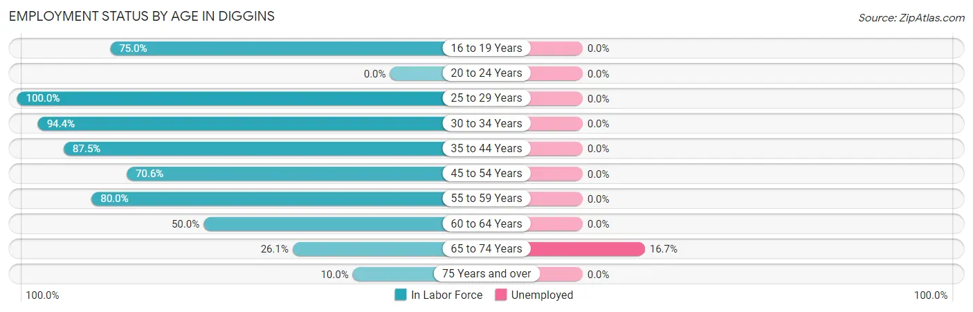 Employment Status by Age in Diggins