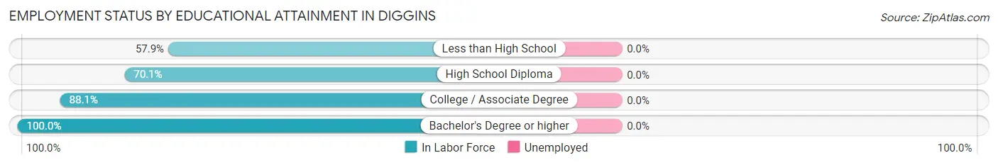 Employment Status by Educational Attainment in Diggins