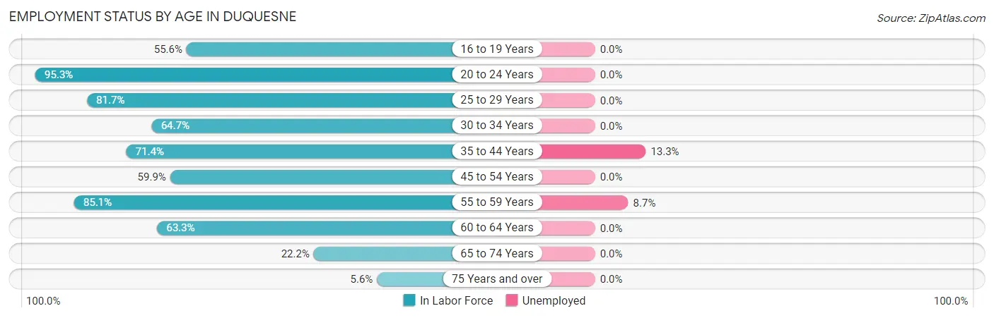 Employment Status by Age in Duquesne