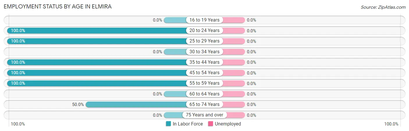 Employment Status by Age in Elmira