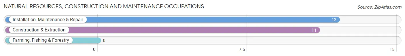 Natural Resources, Construction and Maintenance Occupations in Eminence