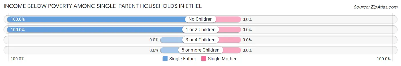 Income Below Poverty Among Single-Parent Households in Ethel
