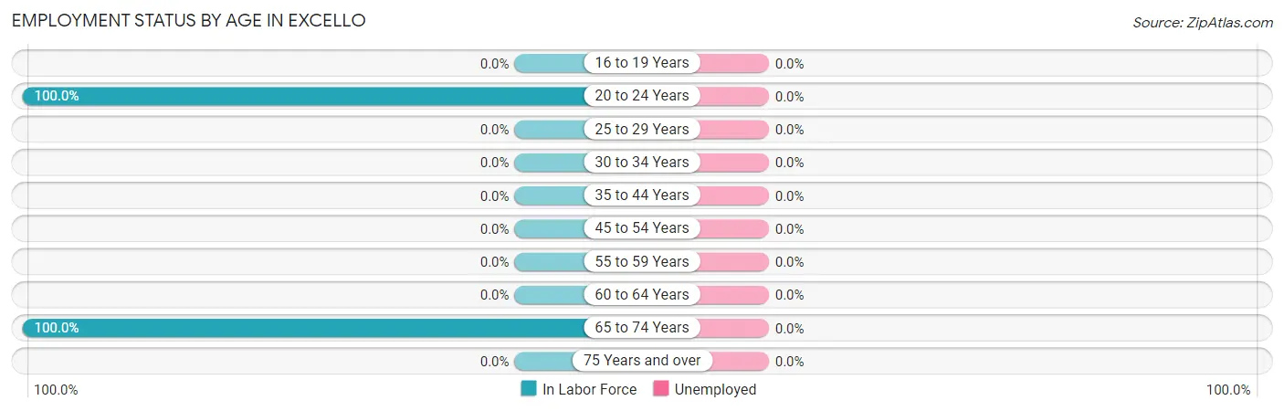 Employment Status by Age in Excello