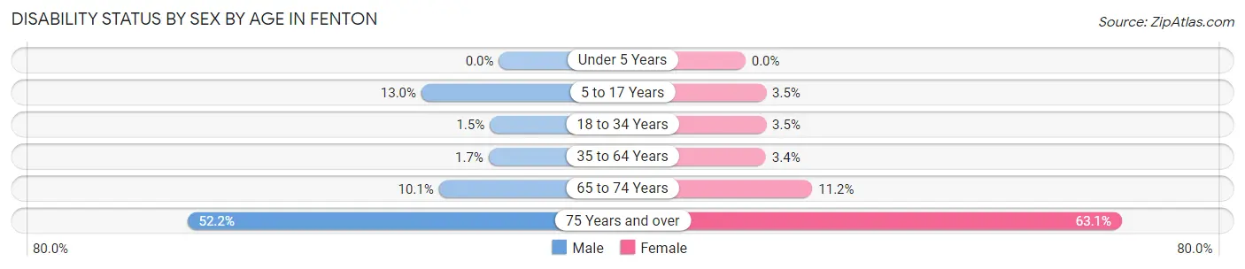 Disability Status by Sex by Age in Fenton