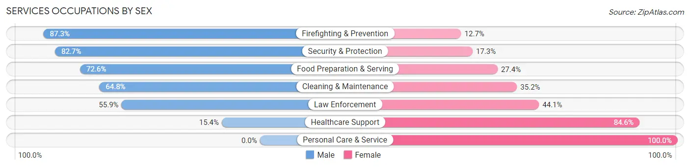 Services Occupations by Sex in Ferguson