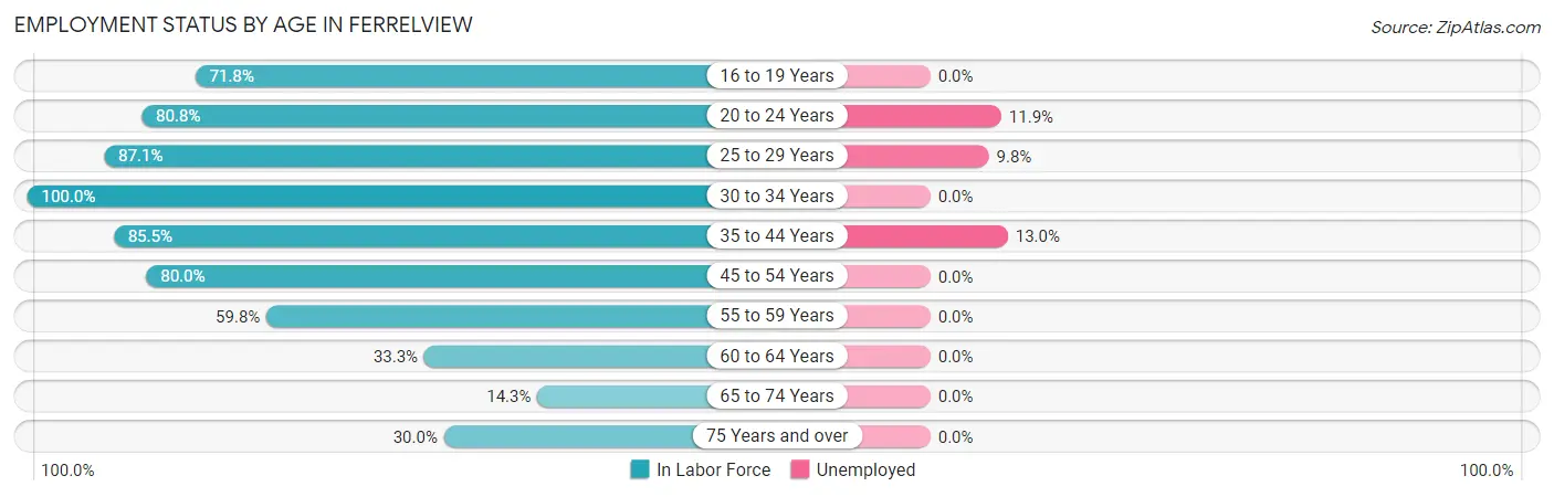 Employment Status by Age in Ferrelview