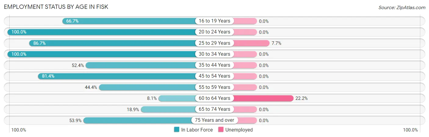 Employment Status by Age in Fisk