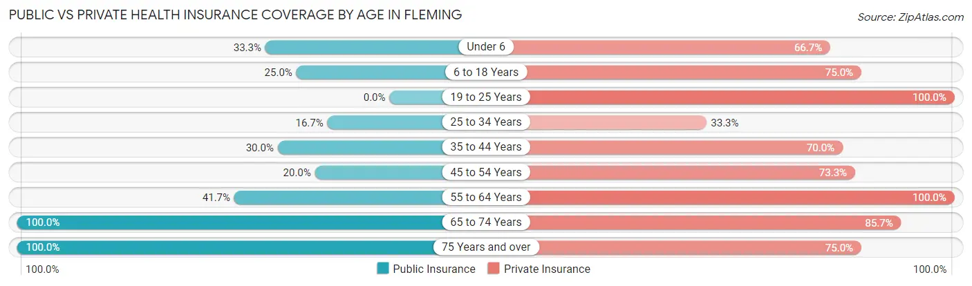 Public vs Private Health Insurance Coverage by Age in Fleming