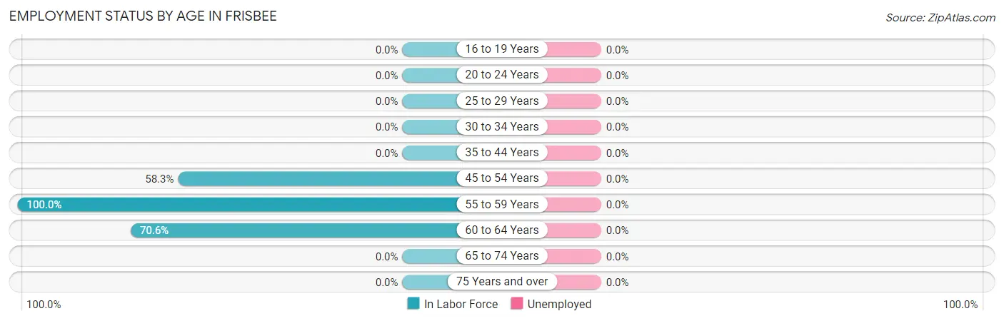 Employment Status by Age in Frisbee