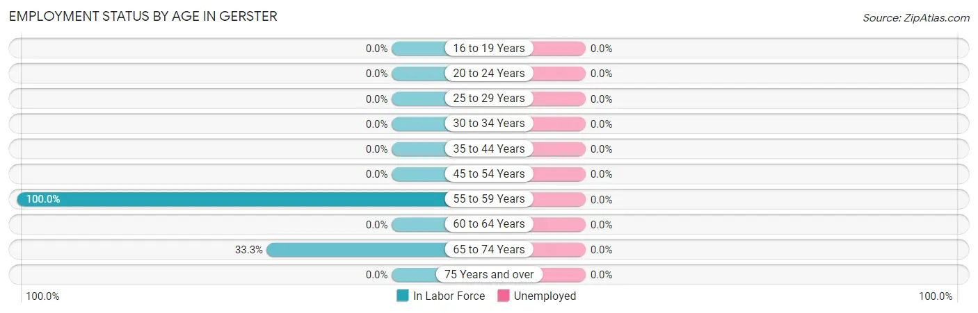 Employment Status by Age in Gerster