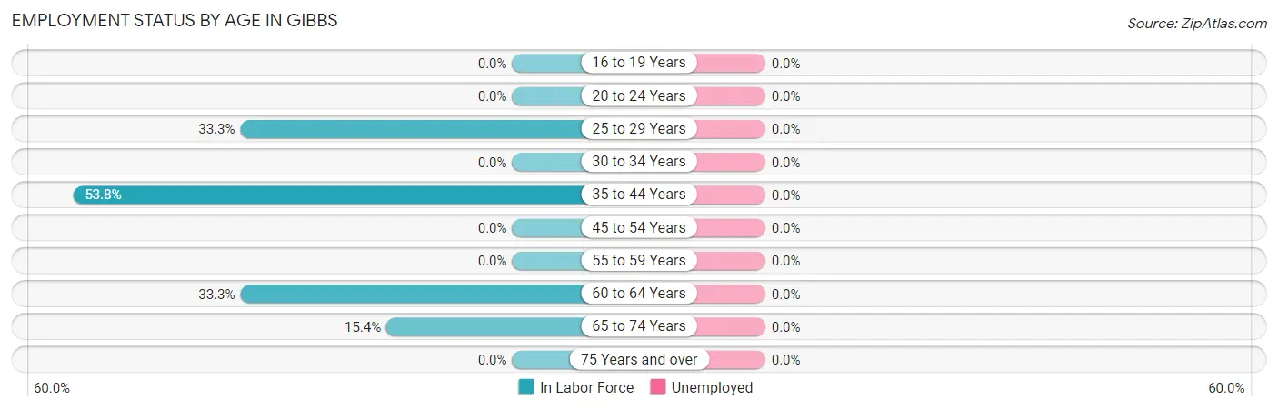 Employment Status by Age in Gibbs