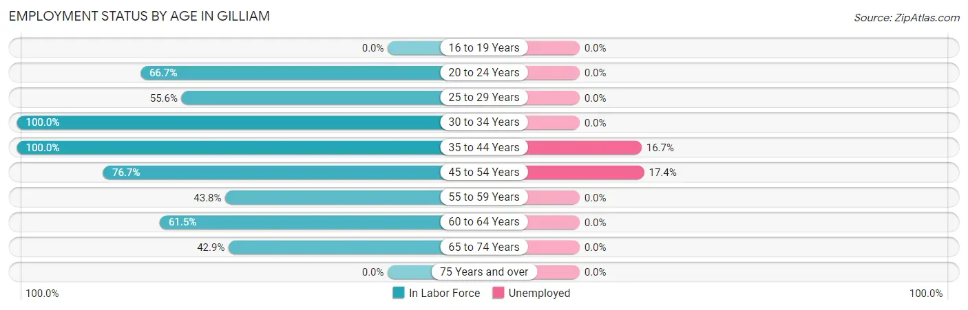 Employment Status by Age in Gilliam