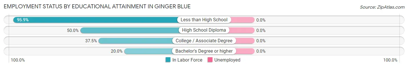 Employment Status by Educational Attainment in Ginger Blue