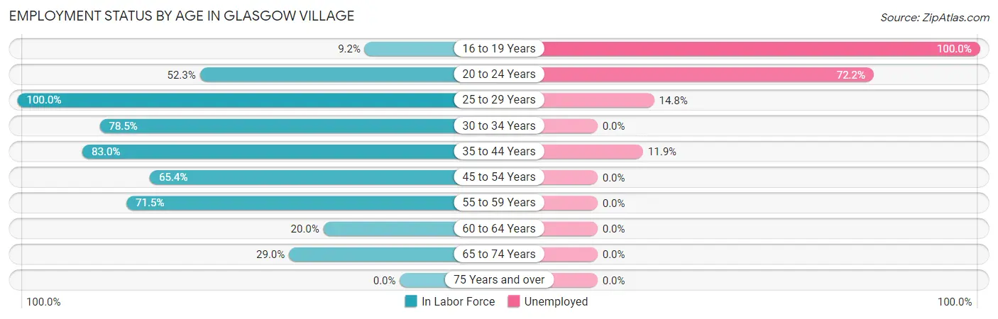Employment Status by Age in Glasgow Village