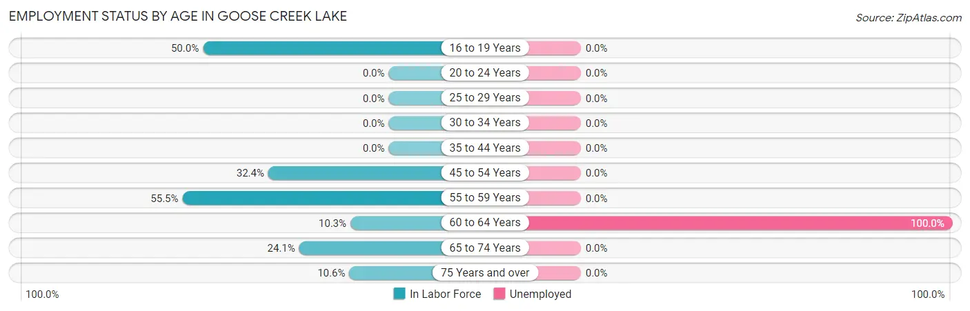 Employment Status by Age in Goose Creek Lake