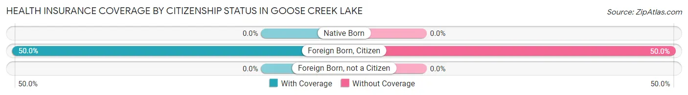 Health Insurance Coverage by Citizenship Status in Goose Creek Lake