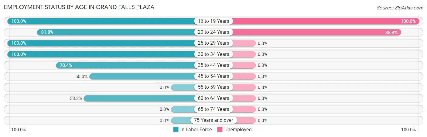 Employment Status by Age in Grand Falls Plaza