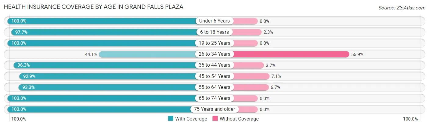 Health Insurance Coverage by Age in Grand Falls Plaza