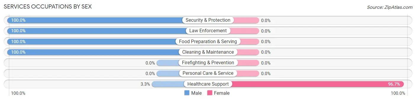 Services Occupations by Sex in Grand Falls Plaza