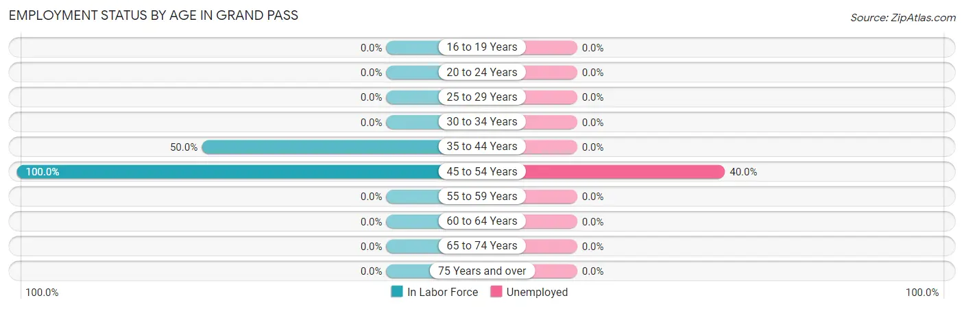 Employment Status by Age in Grand Pass