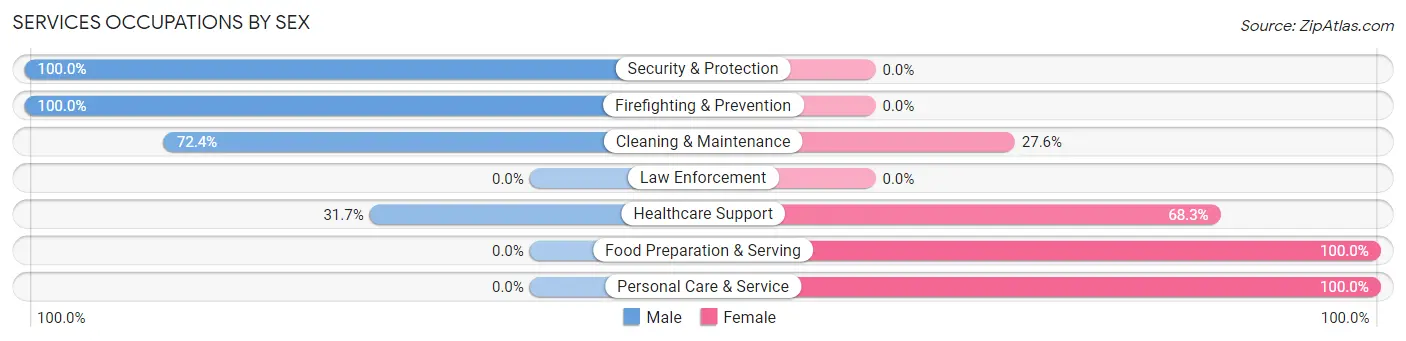 Services Occupations by Sex in Greenfield