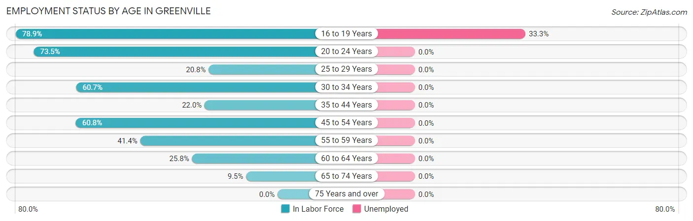 Employment Status by Age in Greenville