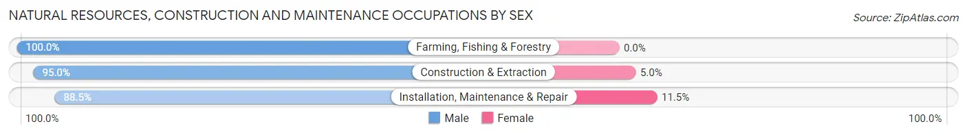 Natural Resources, Construction and Maintenance Occupations by Sex in Greenwood